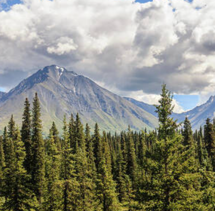 Τα δάση των ΗΠΑ - Αυτό που οι Αμερικάνοι ονομάζουν &quot;The Lower 48&quot;, οι 48 πολιτείες &quot;κάτω&quot; από την Αλάσκα. 
